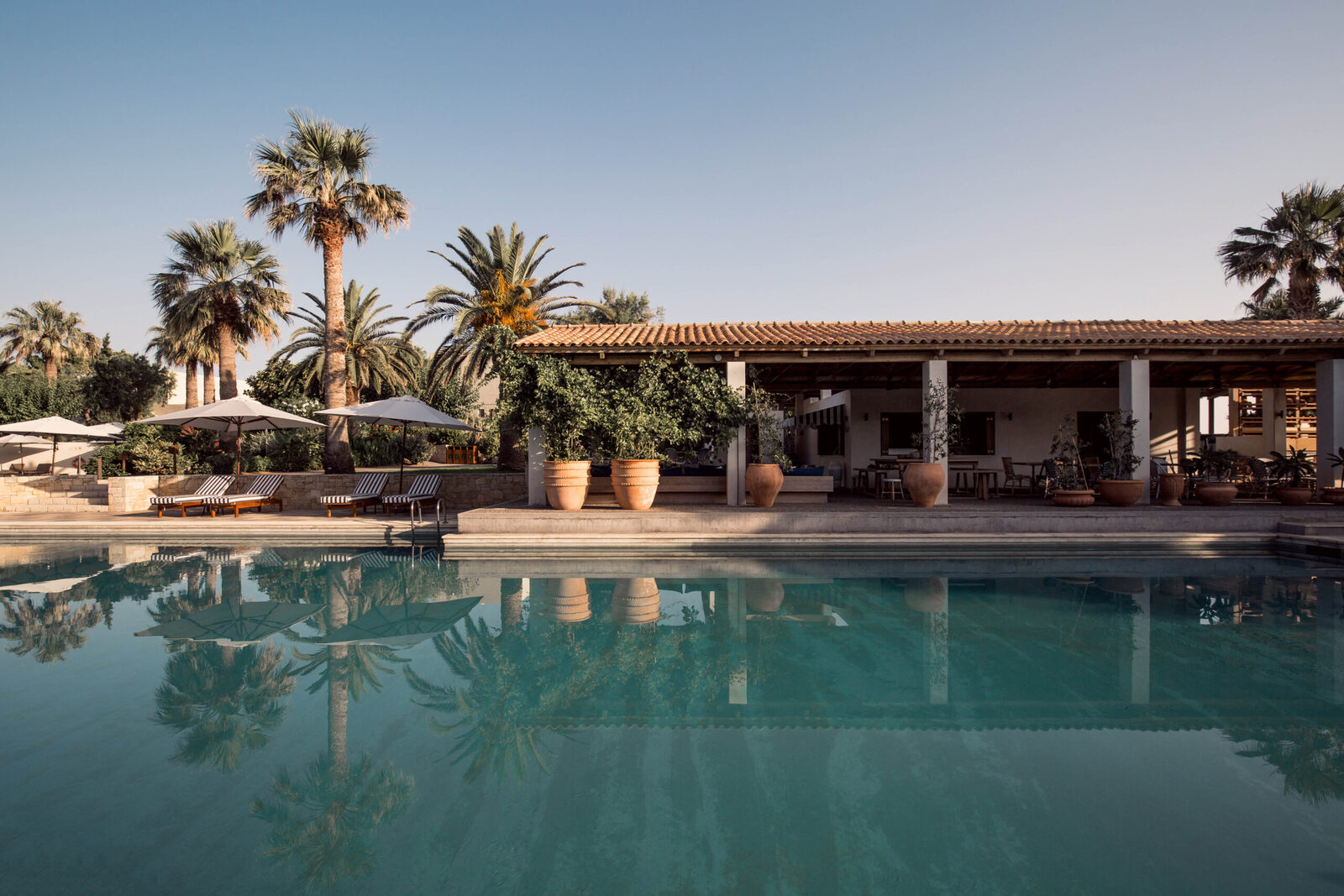 The palm-fringed river-style pool at Phaea Cretan Malia in Crete